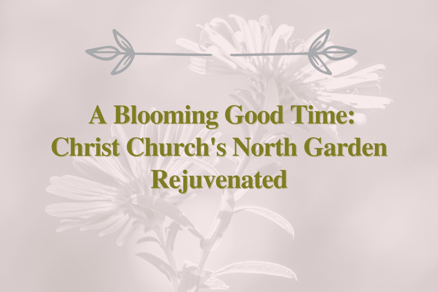 A Blooming Good Time: Christ Church's North Garden Rejuvenated - Christ ...